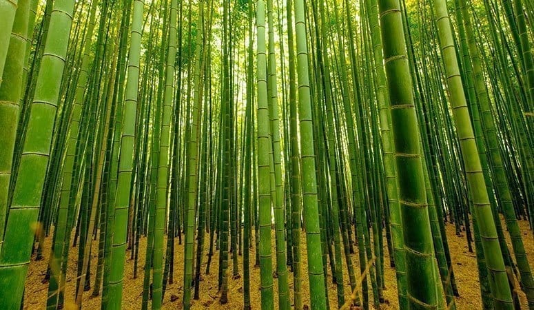 「ボーっと生きてんじゃねーよ!」の真意は？